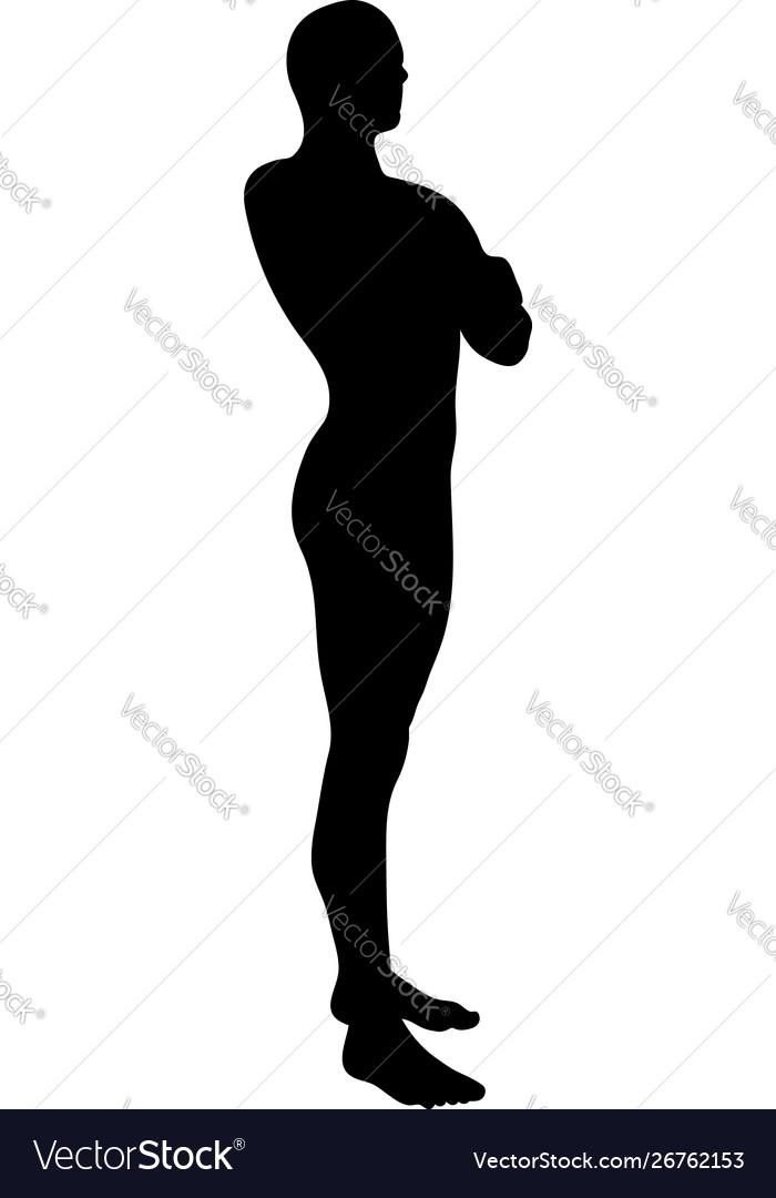 Standing Pose Man Silhouette Royalty Free Vector Image 5475