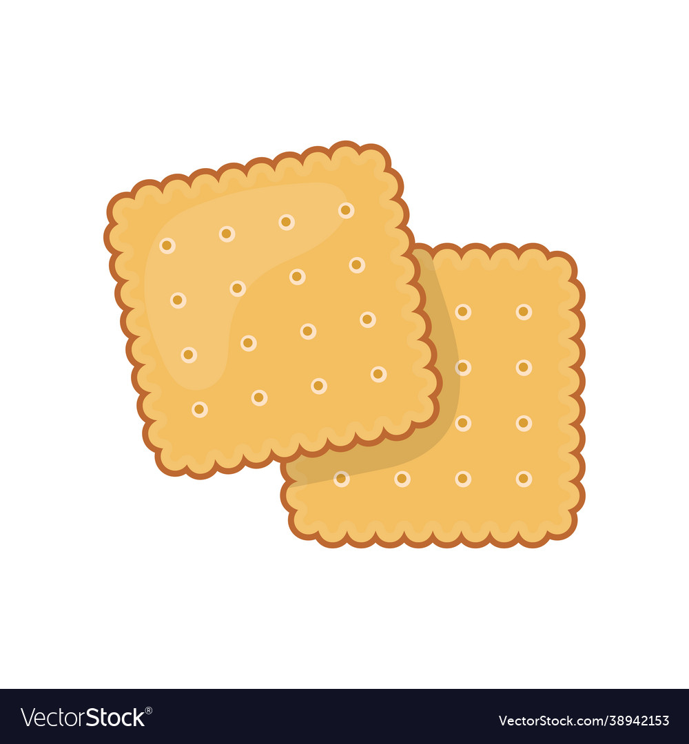 Two delicious biscuit yummy crackers isolated