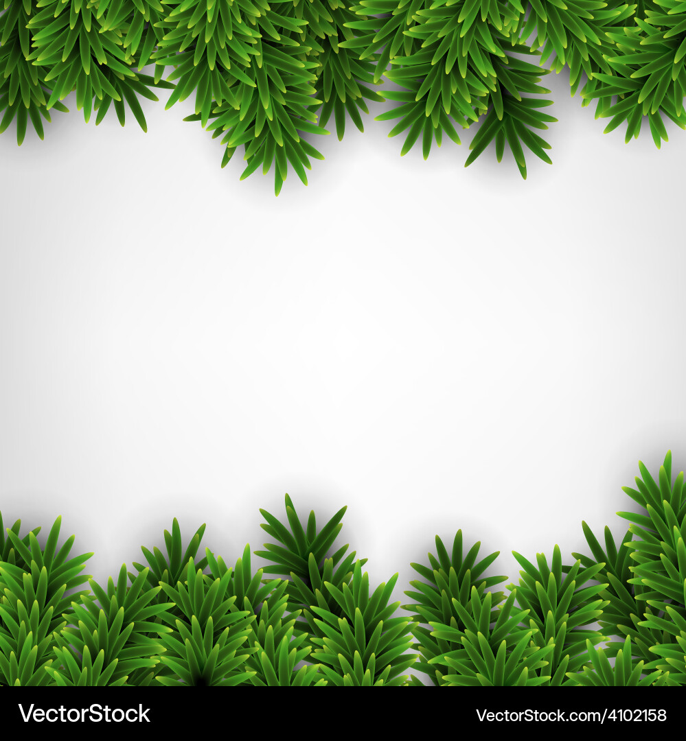 Fir christmas frame Royalty Free Vector Image - VectorStock