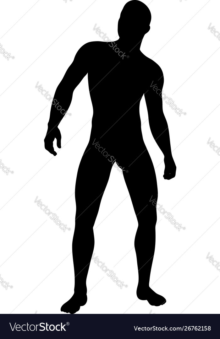 Standing pose man silhouette Royalty Free Vector Image