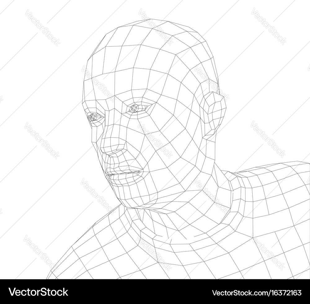 Wire frame mans head Royalty Free Vector Image