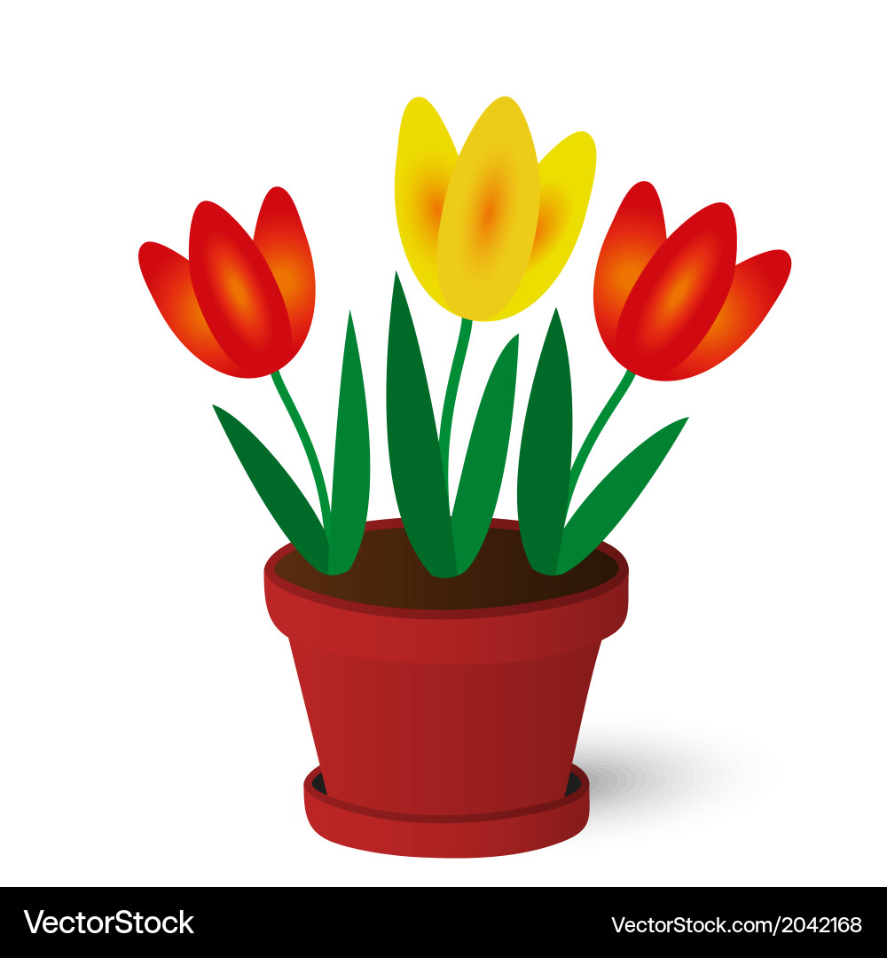 Vector Tuplip Tulips Royalty Free Vector Image - VectorStock