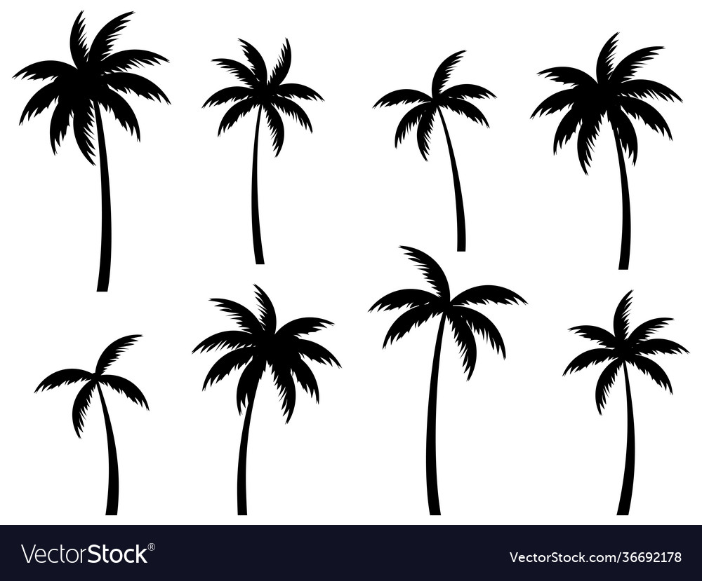 Black palm trees set isolated on white background vector image Black palm trees set isolated on white background