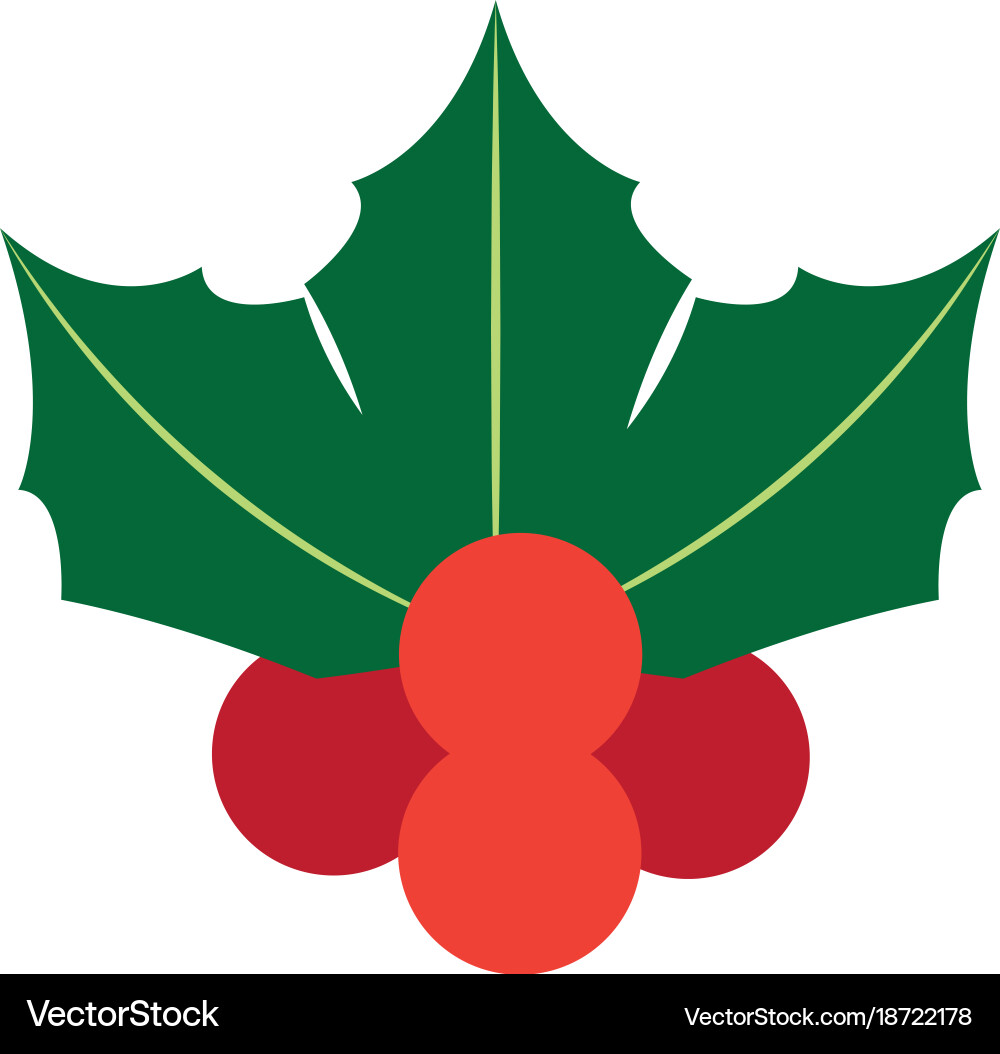 Christmas flower design Royalty Free Vector Image