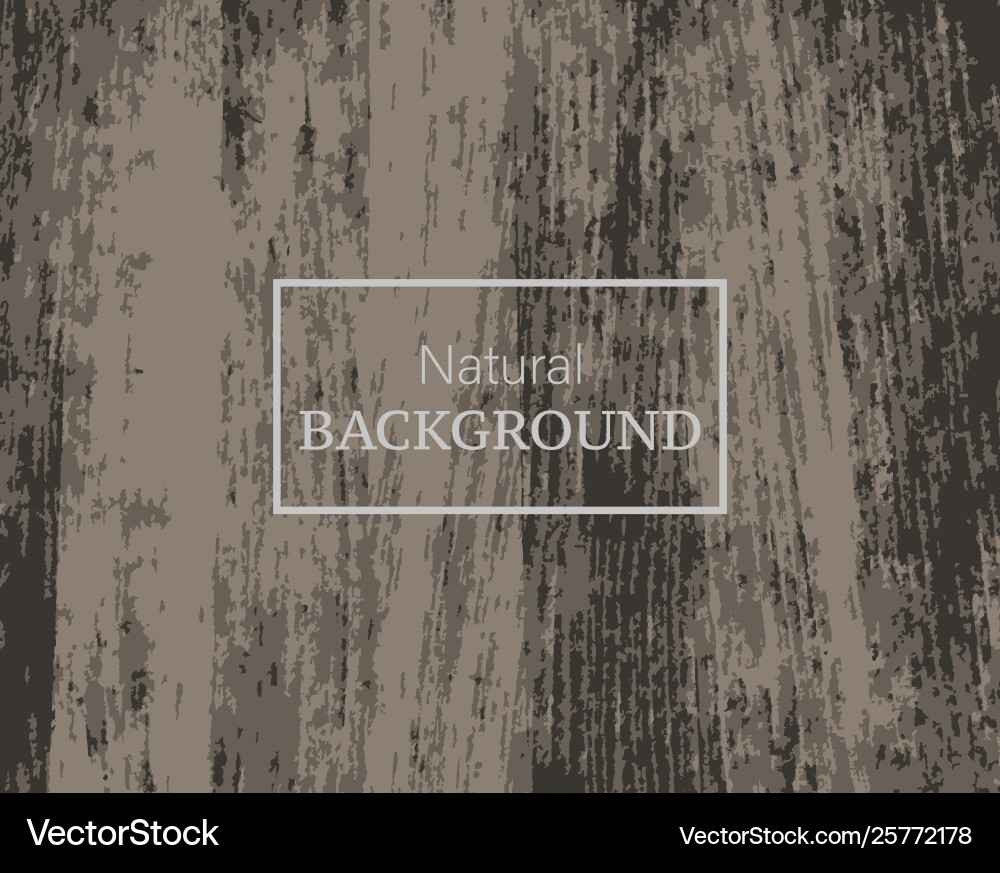 Natural texture background Royalty Free Vector Image