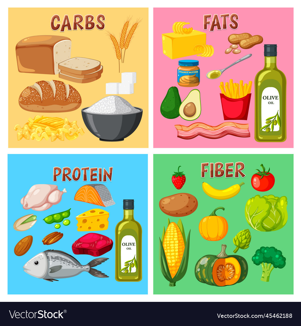 Four Main Food Groups Royalty Free Vector Image