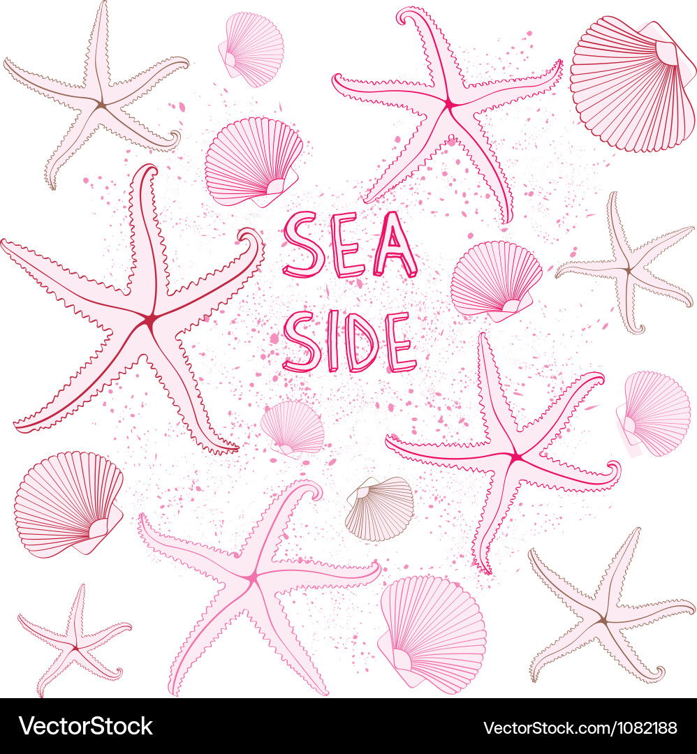 Seaside seashells background Royalty Free Vector Image
