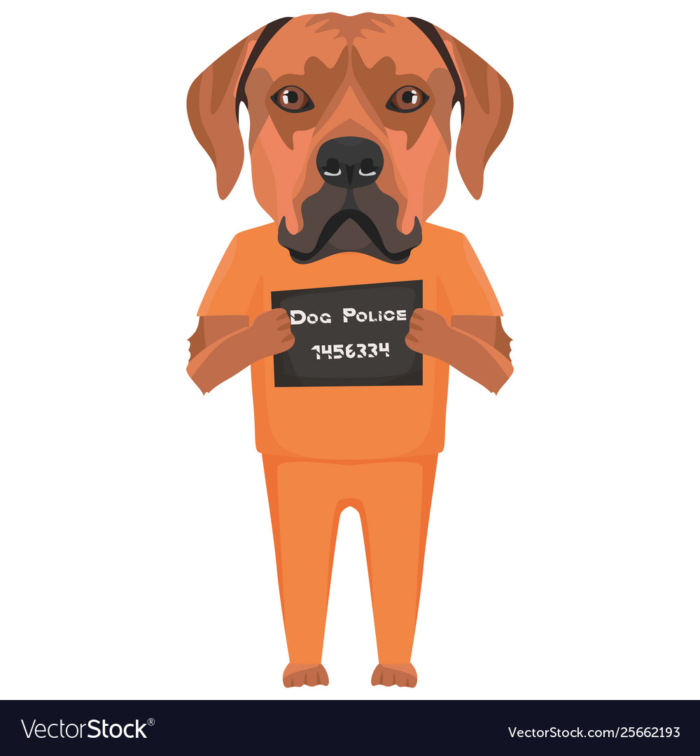 Can You Have A Dog In Jail