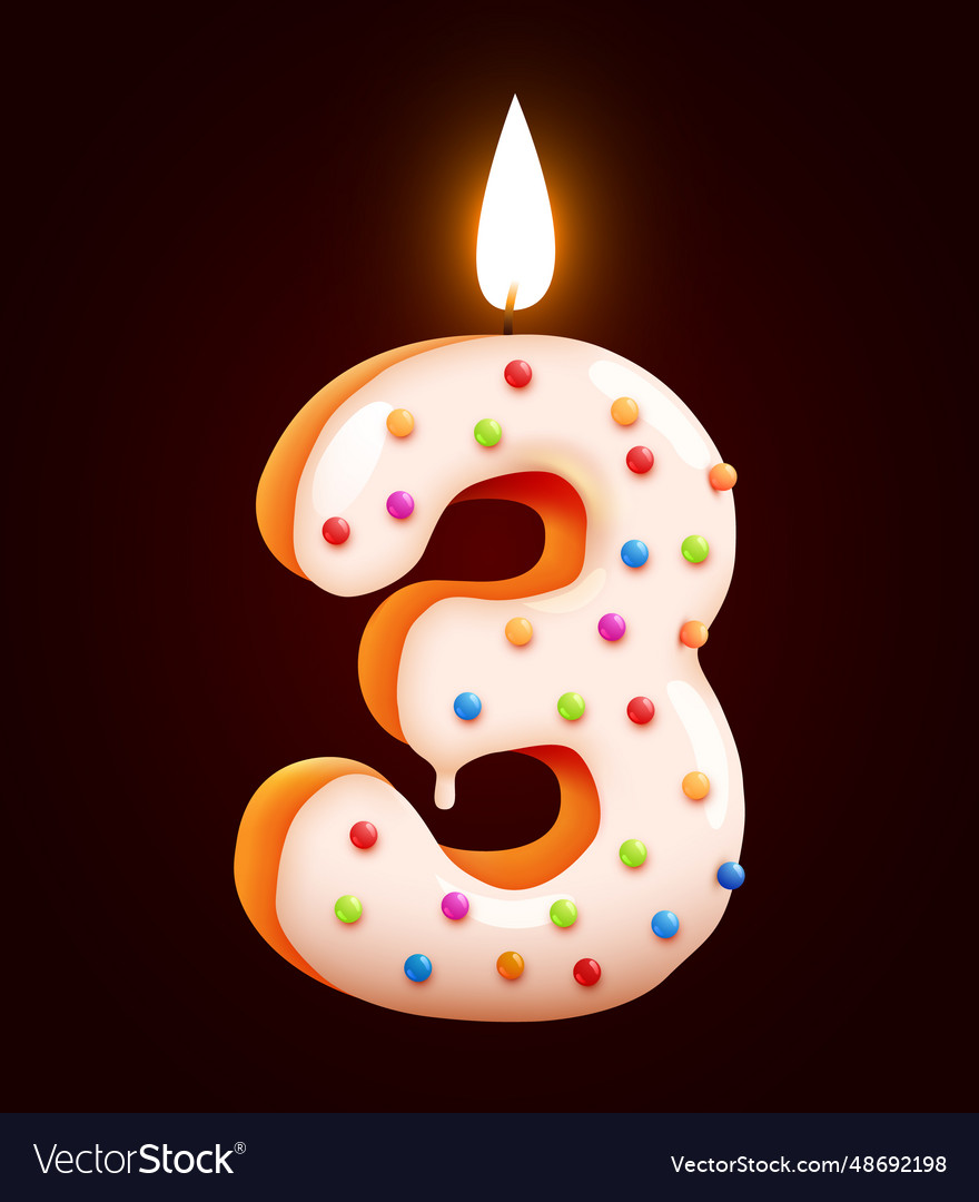 Birthday cake font number 3 with candle three Vector Image