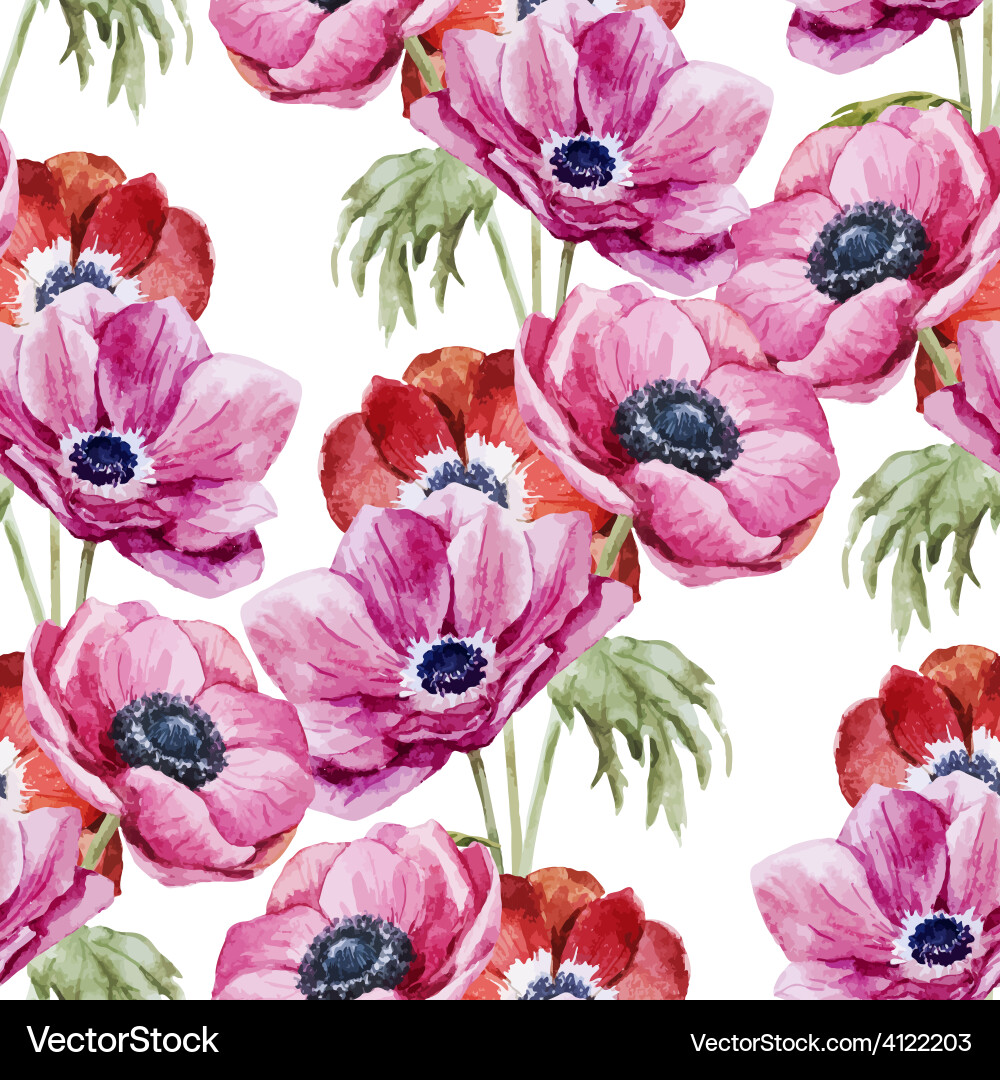 Anemones flowers pattern Royalty Free Vector Image