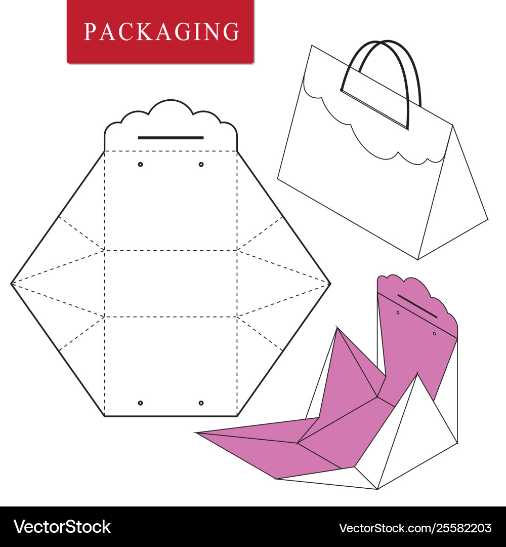 Boxpackage template isolated Royalty Free Vector Image