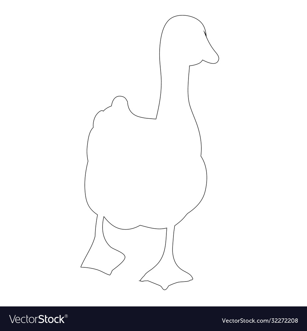 Isolated contour duck on white background Vector Image