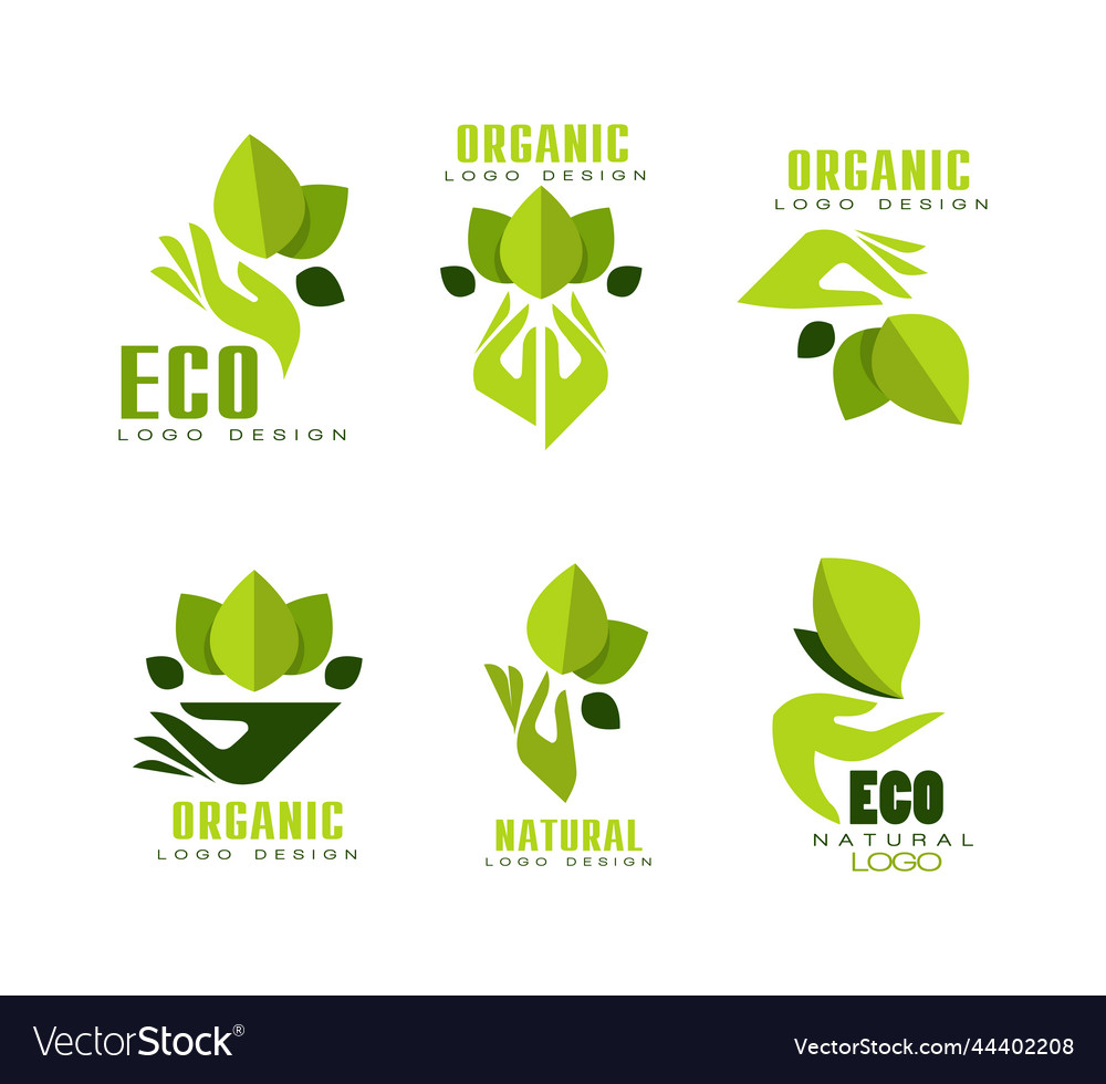 Organic and eco logo design with green leaf Vector Image