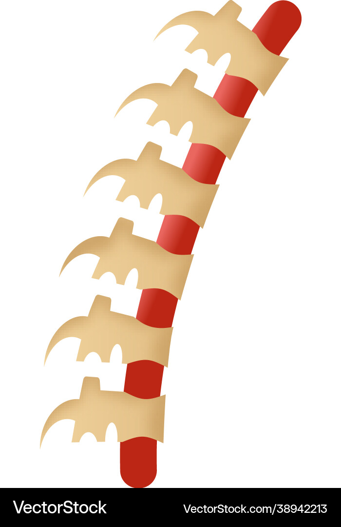 Spine Royalty Free Vector Image - VectorStock