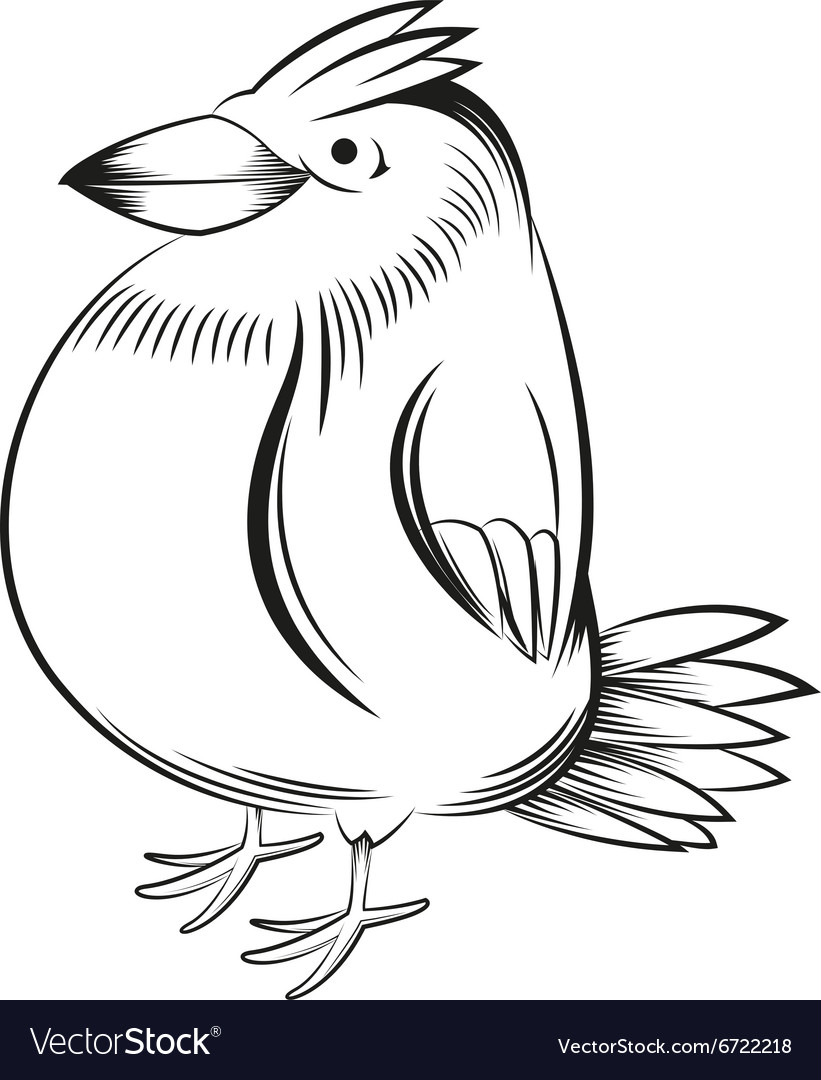Black and white bird Royalty Free Vector Image