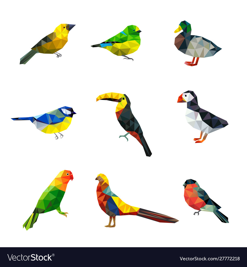 Polygonal birds triangle abstract shapes graphic Vector Image