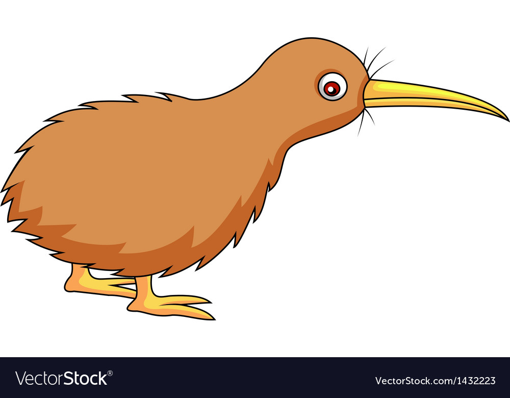 Kiwi Bird Kiwi Cartoon Images