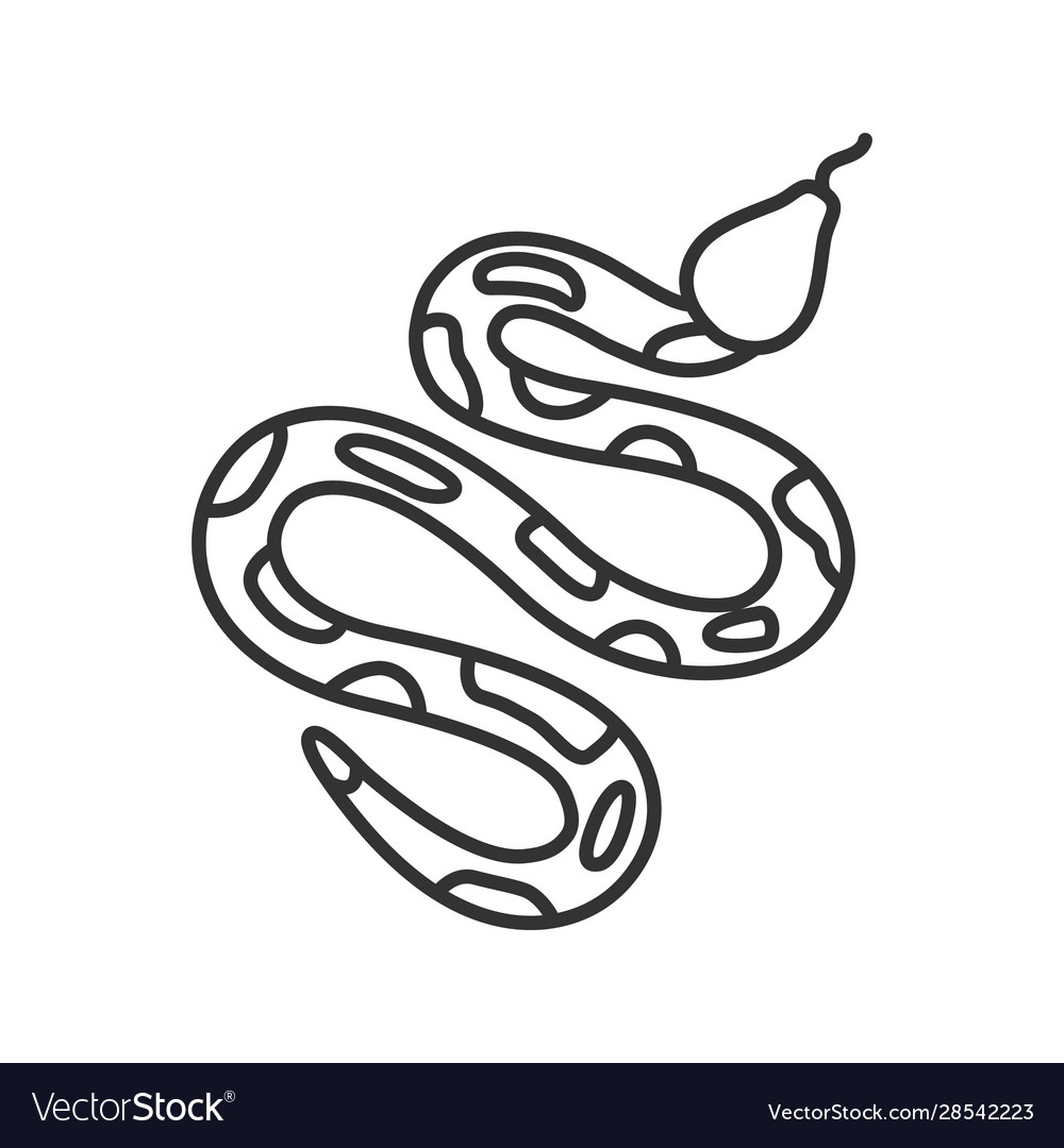 Python Linear Icon Royalty Free Vector Image - Vectorstock