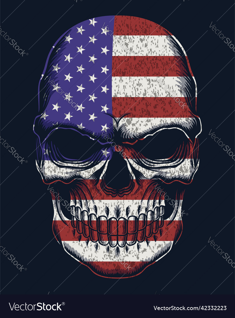 Skull color america flag vector image Skull color america flag