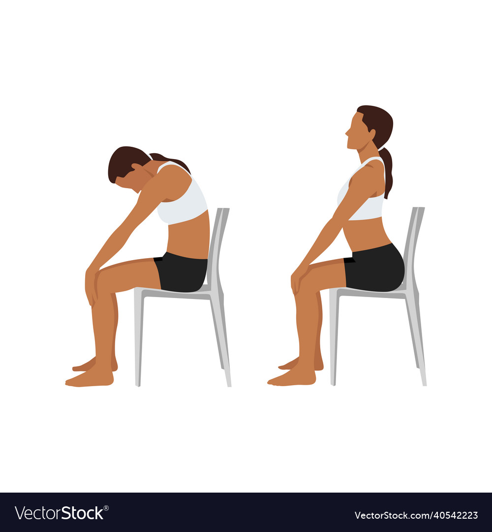 Woman Doing Yoga Chair Cat Cow Stretch Exercise Vector Image woman-doing-yoga-chair-cat-cow-stretch-exercise-vector-image