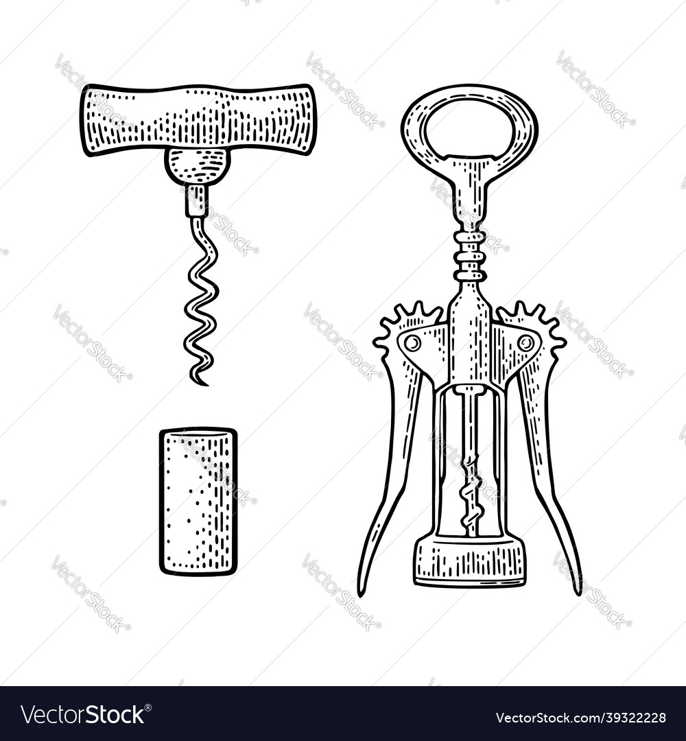 Wing corkscrew basic and cork Royalty Free Vector Image