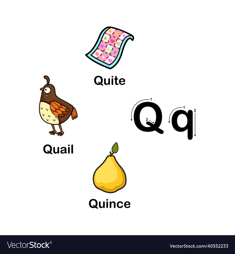 Alphabet letter q-quailquincequite Royalty Free Vector Image