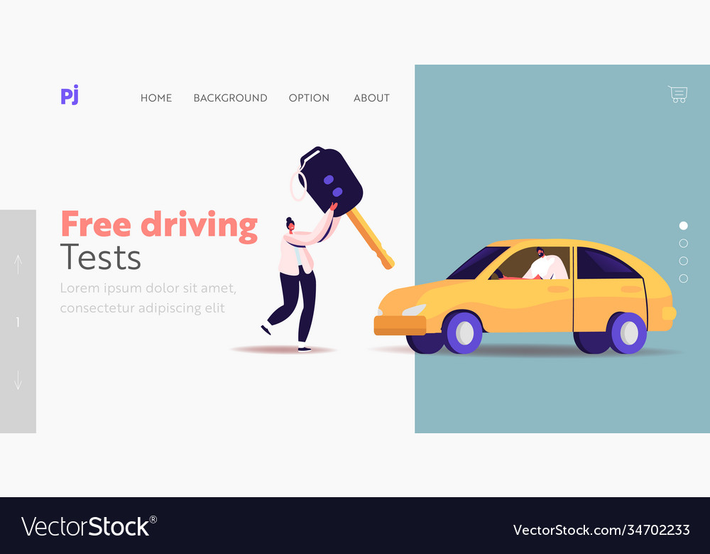 learning license can drive car