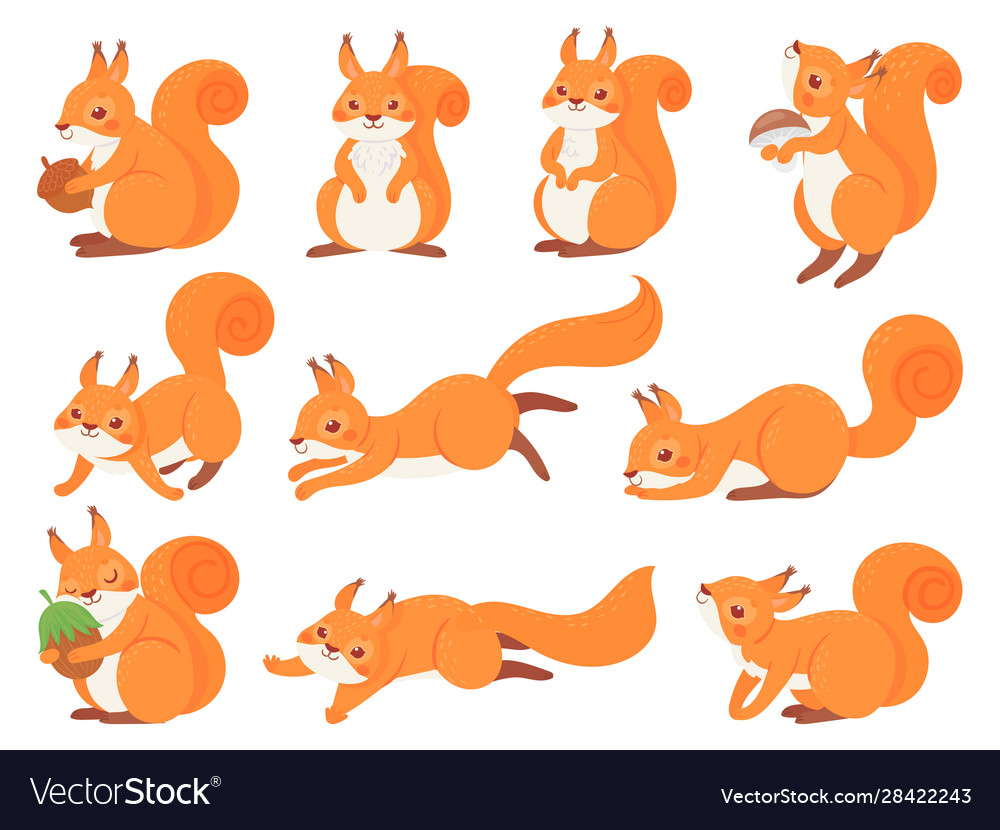 Cartoon squirrel cute squirrels with red furry Vector Image