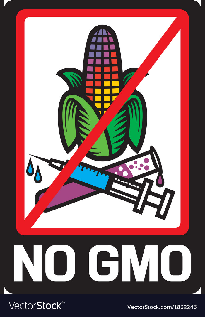 No GMO label Royalty Free Vector Image - VectorStock