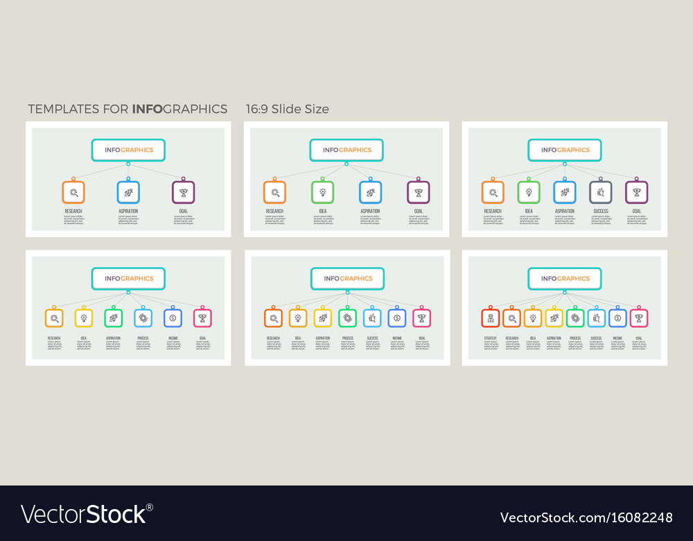 business hierarchy infographic organization vector image business hierarchy