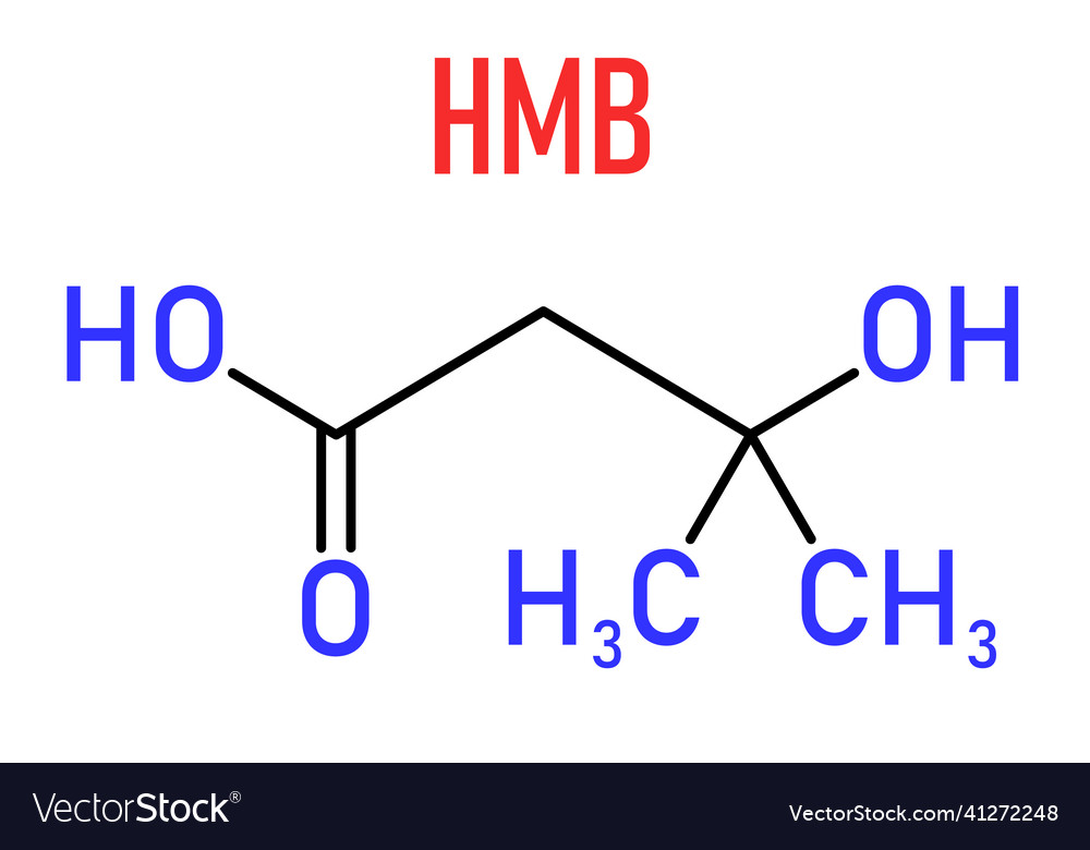 Hmb leucine metabolite molecule skeletal formula Vector Image