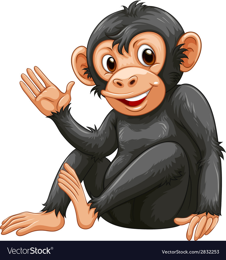 A chimpanzee Royalty Free Vector Image - VectorStock