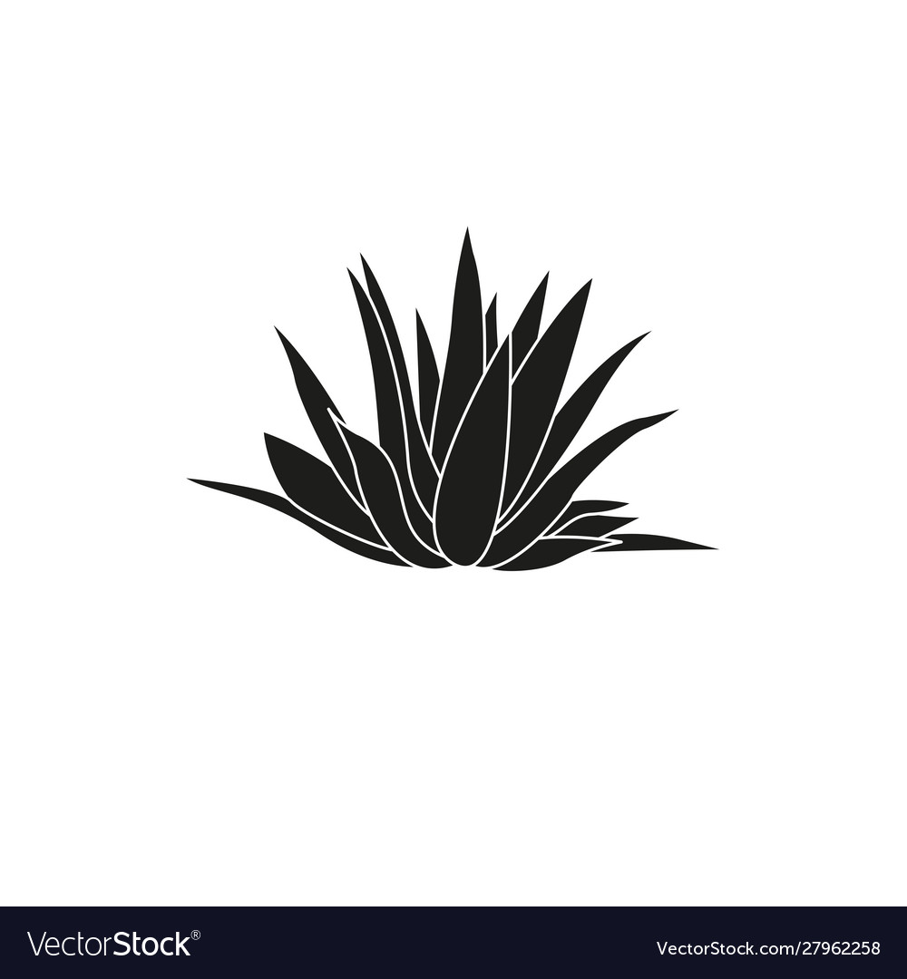 icon-agave-simple-royalty-free-vector-image-vectorstock