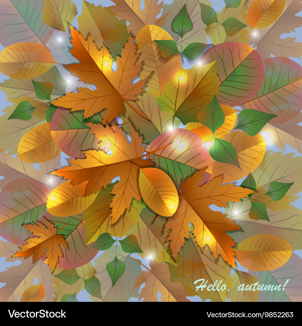 Autumn background with beautiful leaves Royalty Free Vector