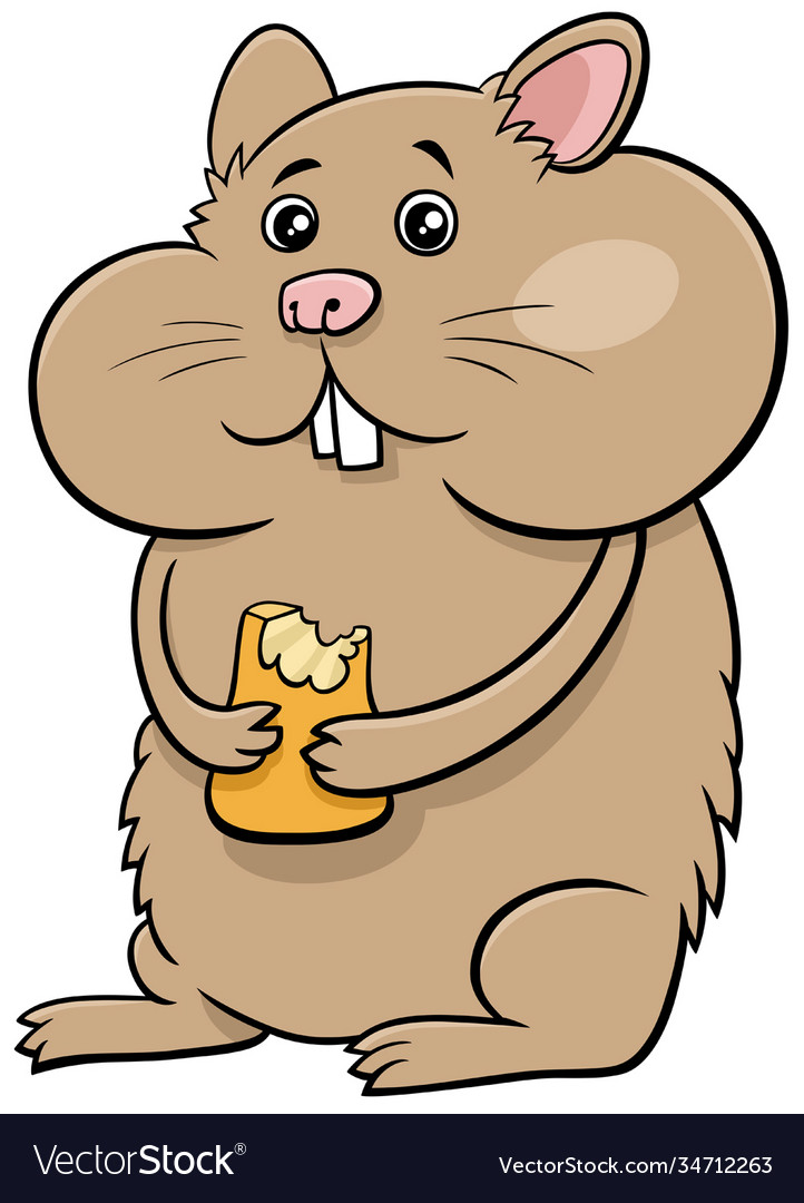 Cartoon hamster comic animal character Royalty Free Vector