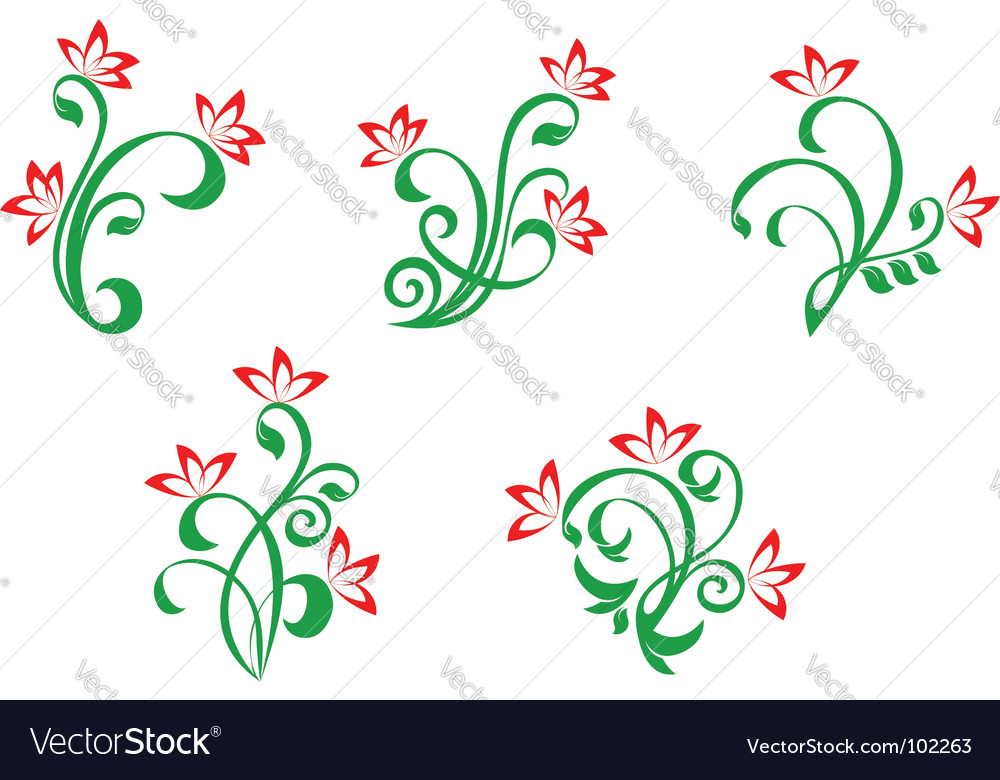 Floral and flowers