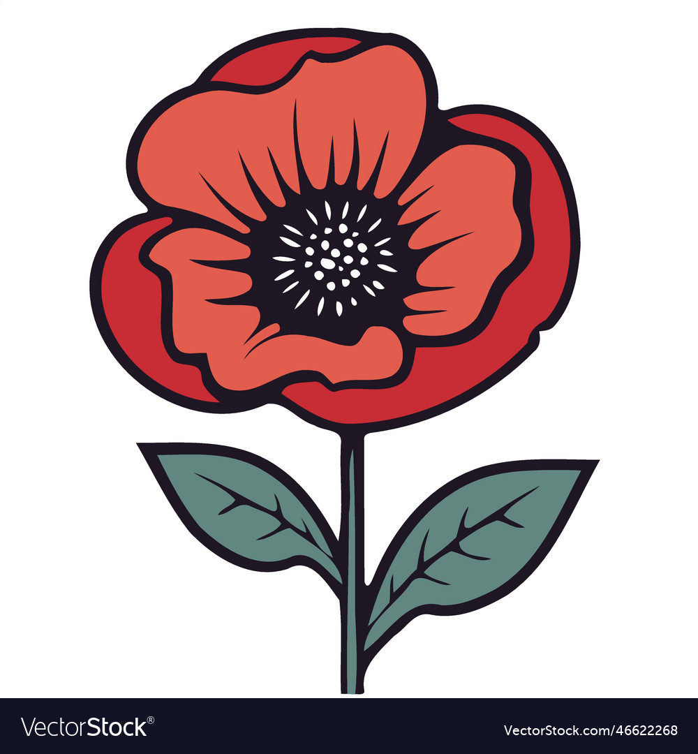 One red poppy flower Royalty Free Vector Image