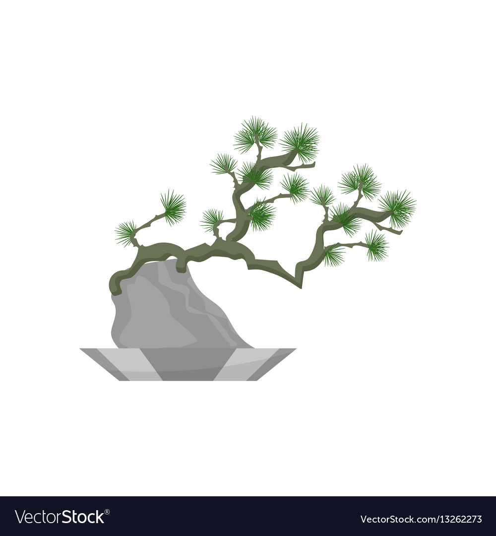 Bonsai house plant realistic icon for interior