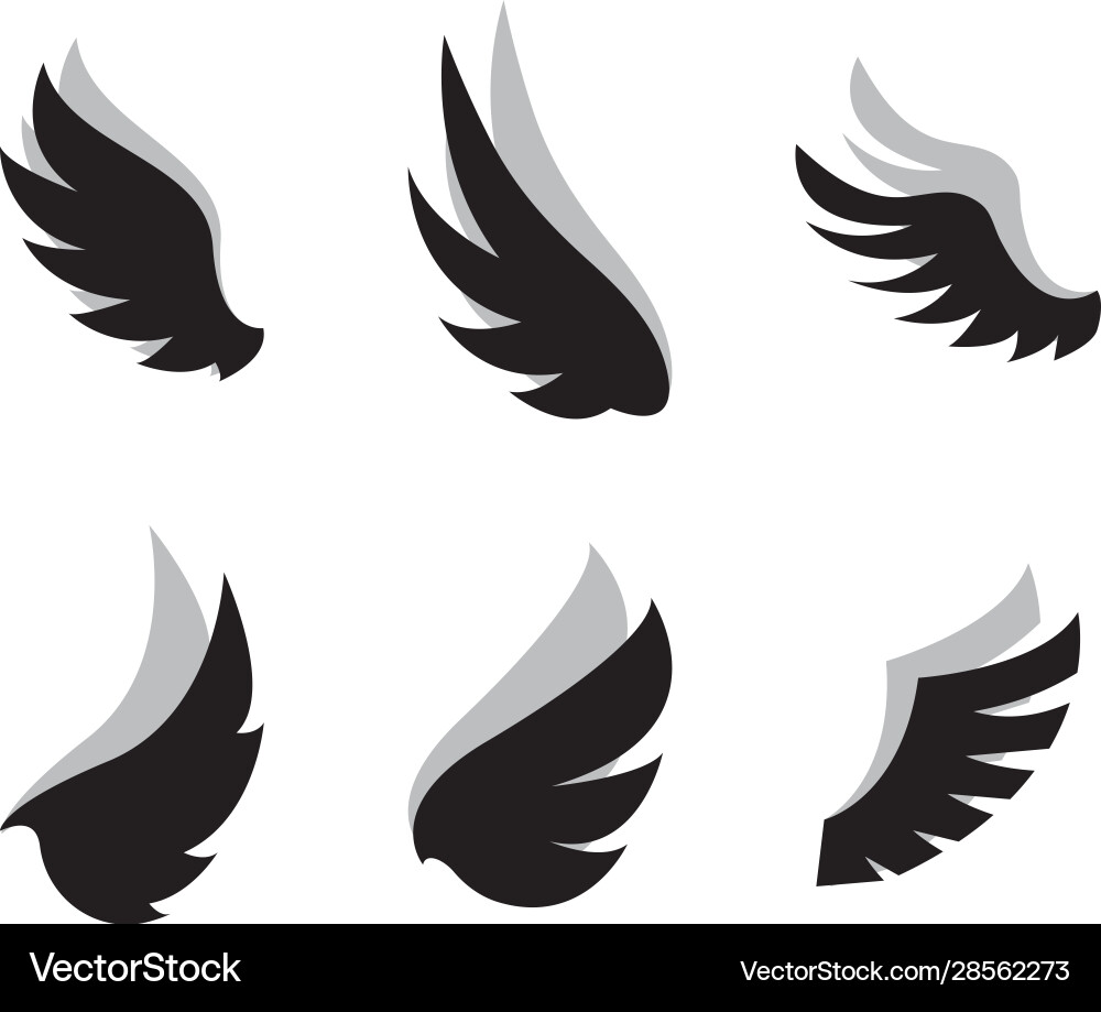 Set wing icon design template Royalty Free Vector Image
