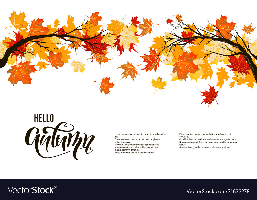Autumn Nature Branch Royalty Free Vector Image Autumn Nature Branch Royalty Free Vector Image