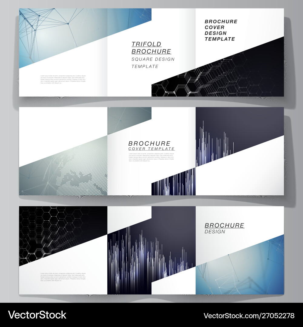 Minimal editable layout square Royalty Free Vector Image