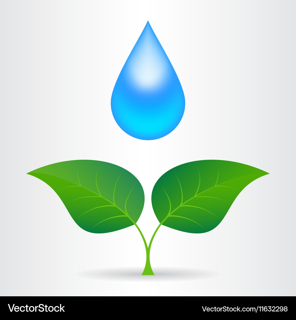 Leave Drop Vectordraw Drop leaf Royalty Free Vector Image - VectorStock