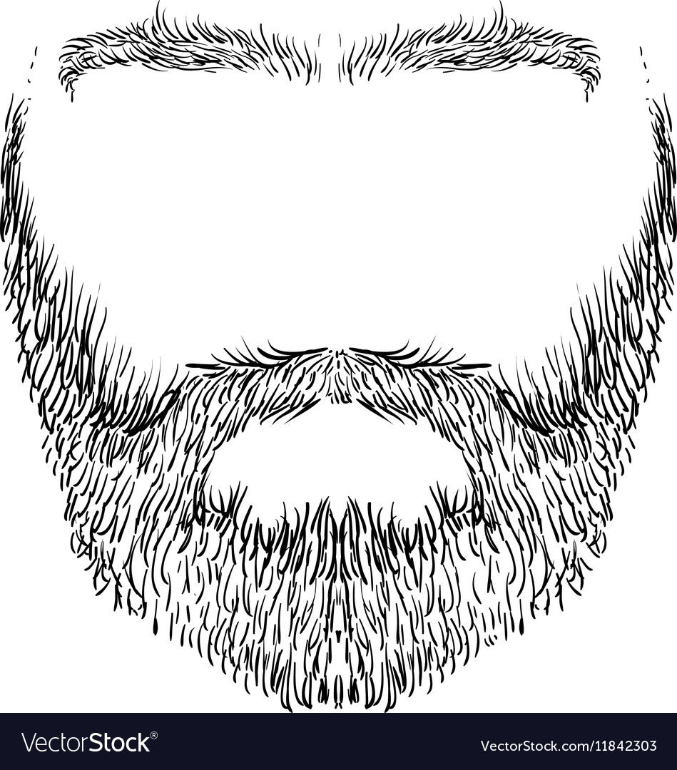 Beard mustache eyebrows Royalty Free Vector Image
