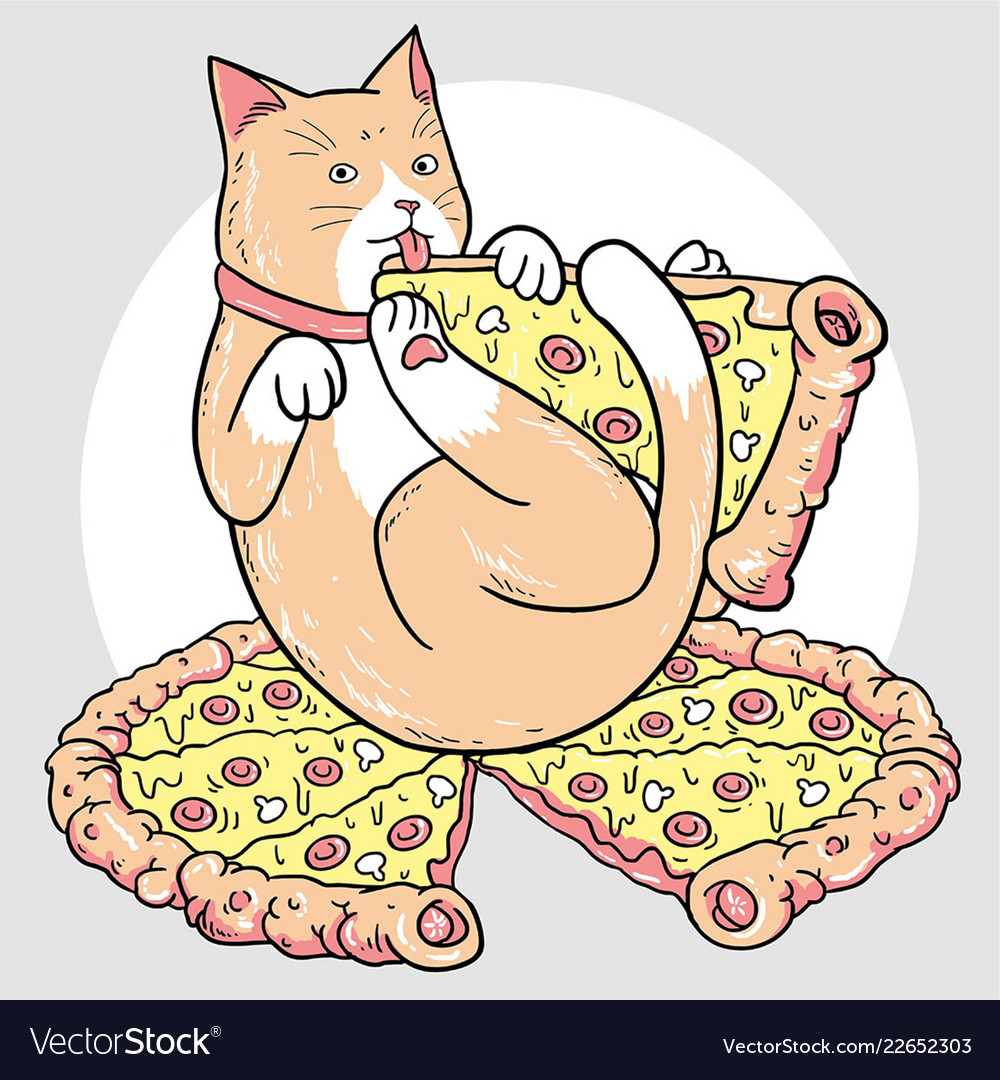 Cat pizza Royalty Free Vector Image VectorStock