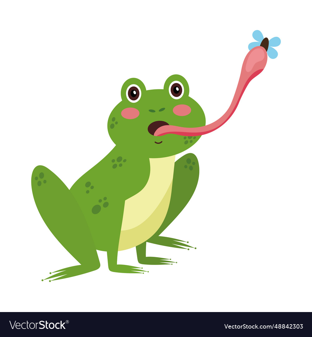 Frog eating fly design Royalty Free Vector Image