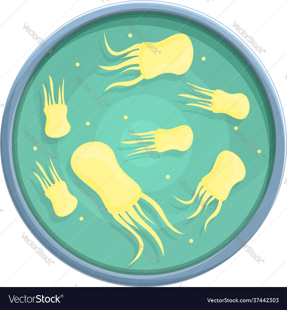 Petri dish magnification icon cartoon style Vector Image Petri dish magnification icon cartoon style Vector Image