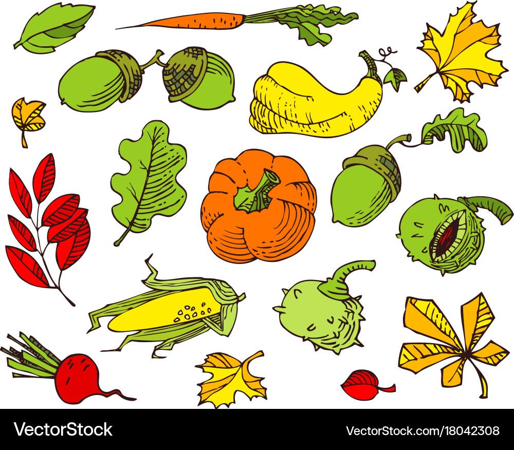 Autumn set with bright leaves fall season Vector Image