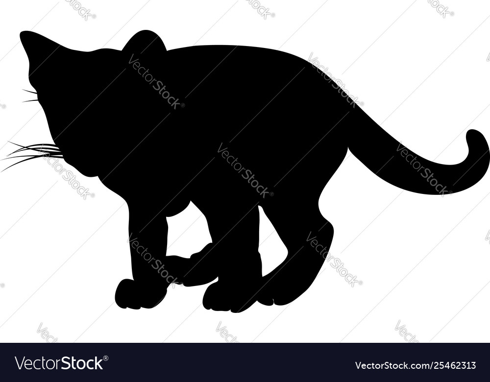 Cat silhouette Royalty Free Vector Image - VectorStock