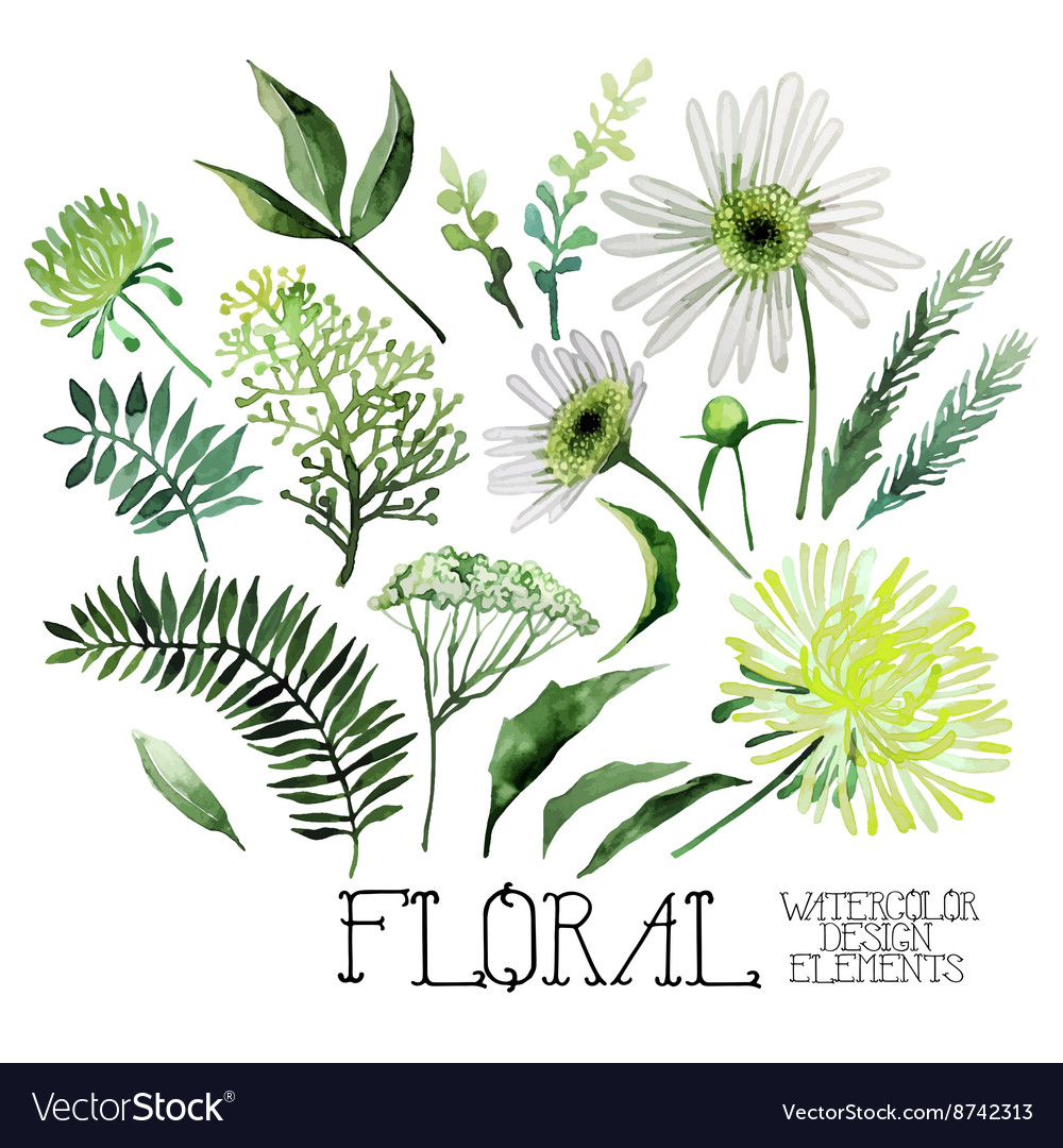 Watercolor green floral collection Royalty Free Vector Image