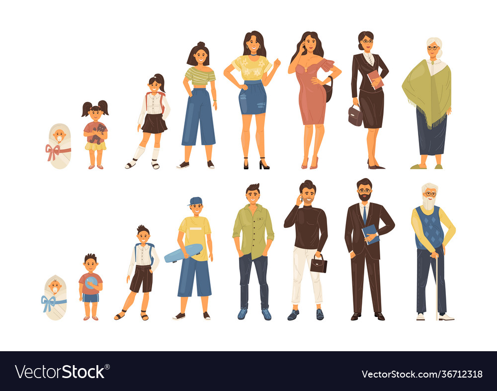 Man and woman life cycle in sequential order girl Vector Image